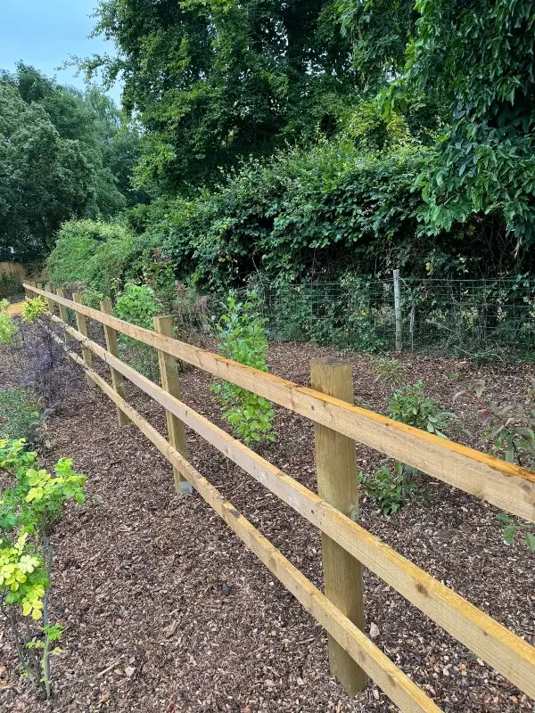 tree-surgeon-planting 4